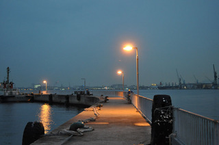 DSC_00012.jpg
