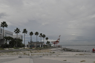 DSC_0453-2.jpg