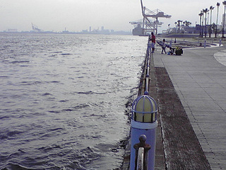 携帯photo 151-2.jpg