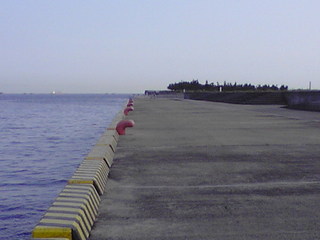 携帯photo 605.JPG