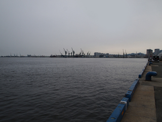P6230138-2.jpg